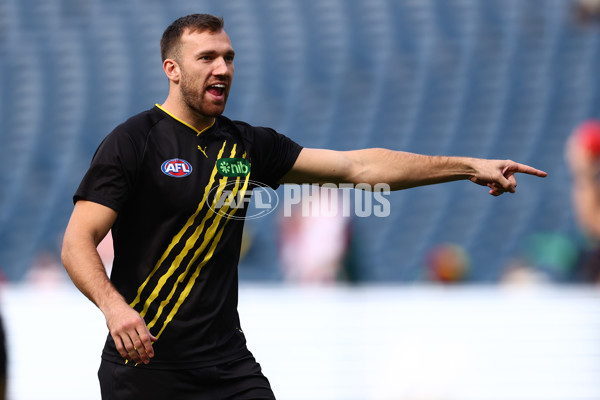 AFL 2025 Round 13 - Richmond v Sydney - A-59859173
