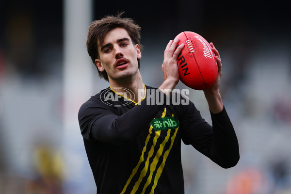 AFL 2025 Round 13 - Richmond v Sydney - A-59859673