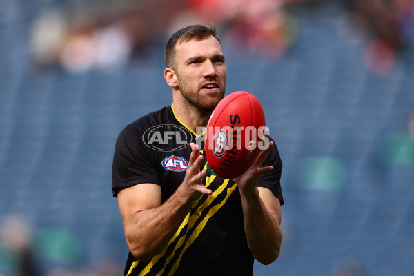 AFL 2025 Round 13 - Richmond v Sydney - A-59859676