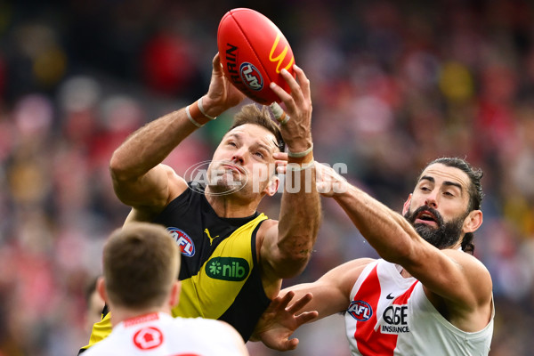 AFL 2025 Round 13 - Richmond v Sydney - A-59862686