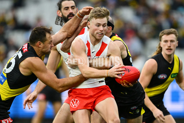 AFL 2025 Round 13 - Richmond v Sydney - A-59865201
