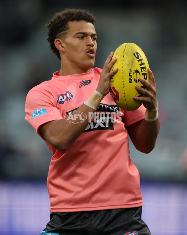 AFL 2025 Round 13 - Geelong v Gold Coast - A-59865805