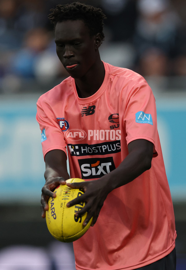 AFL 2025 Round 13 - Geelong v Gold Coast - A-59865806