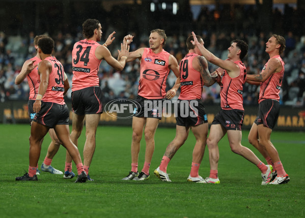 AFL 2025 Round 13 - Geelong v Gold Coast - A-59872013