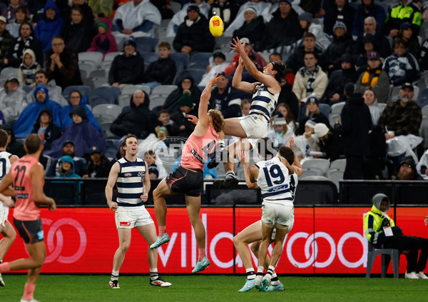 AFL 2025 Round 13 - Geelong v Gold Coast - A-59872063