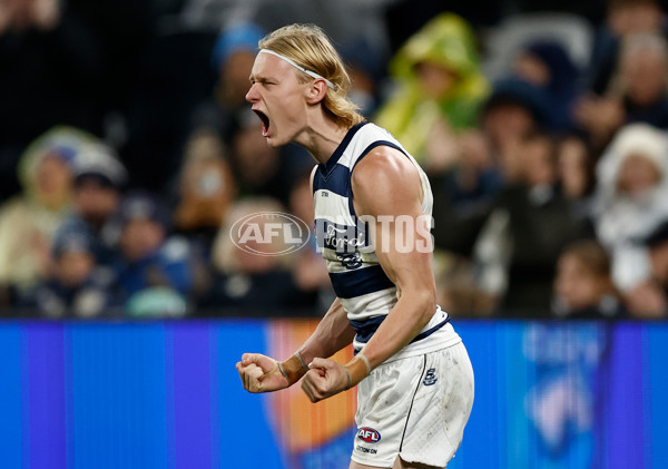 AFL 2025 Round 13 - Geelong v Gold Coast - A-59875244