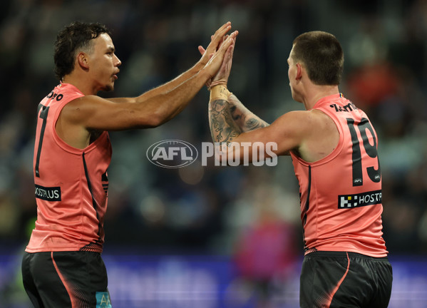 AFL 2025 Round 13 - Geelong v Gold Coast - A-59875645
