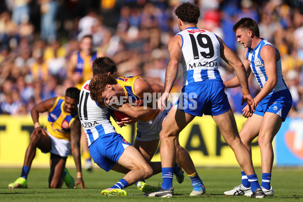 AFL 2025 Round 13 - North Melbourne v West Coast - A-59898942