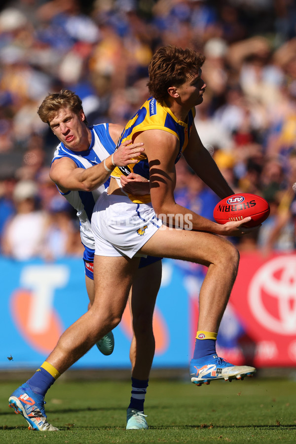 AFL 2025 Round 13 - North Melbourne v West Coast - A-59899602