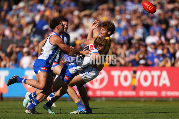 AFL 2025 Round 13 - North Melbourne v West Coast - A-59899604