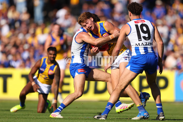 AFL 2025 Round 13 - North Melbourne v West Coast - A-59899632