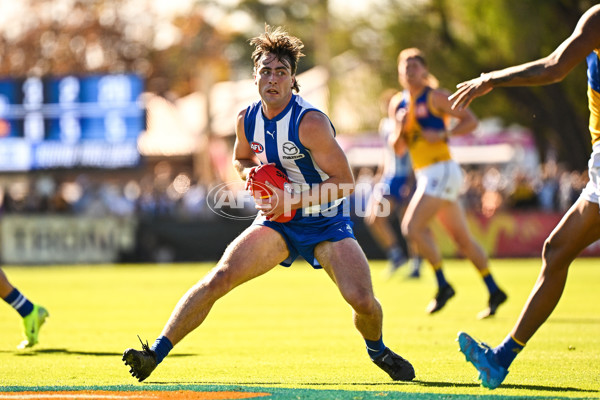 AFL 2025 Round 13 - North Melbourne v West Coast - A-59899663