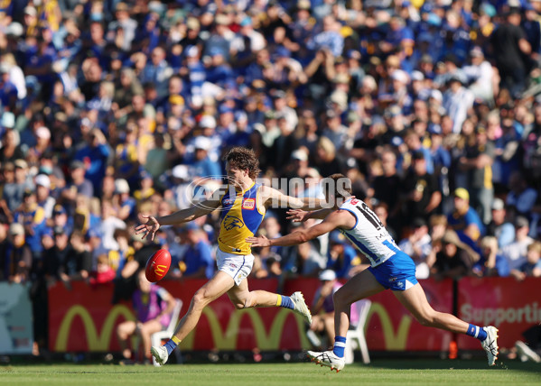 AFL 2025 Round 13 - North Melbourne v West Coast - A-59901946