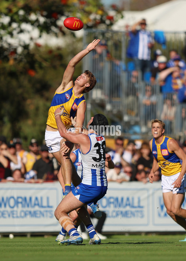 AFL 2025 Round 13 - North Melbourne v West Coast - A-59902376
