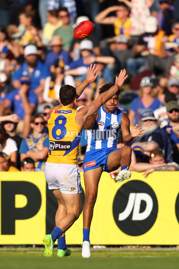AFL 2025 Round 13 - North Melbourne v West Coast - A-59922464