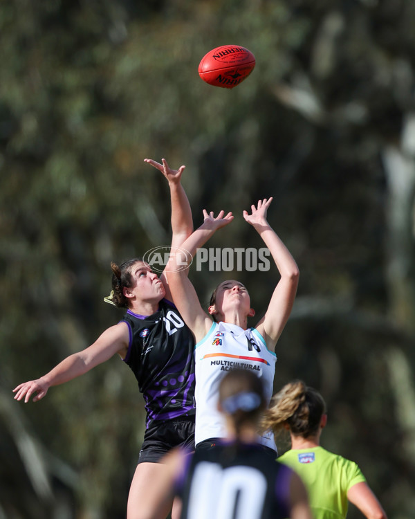 AFL Diversity Talent Program Girls 2025 - Indigenous Academy v Multicultural Academy - A-59931434