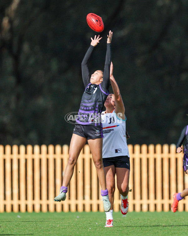 AFL Diversity Talent Program Girls 2025 - Indigenous Academy v Multicultural Academy - A-59931439