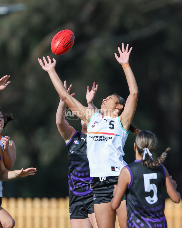AFL Diversity Talent Program Girls 2025 - Indigenous Academy v Multicultural Academy - A-59931442