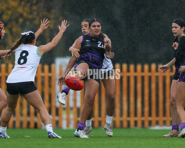 AFL Diversity Talent Program Girls 2025 - Indigenous Academy v Multicultural Academy - A-59936595