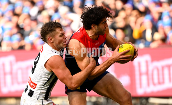 AFL 2025 Round 13 - Melbourne v Collingwood - A-59942529