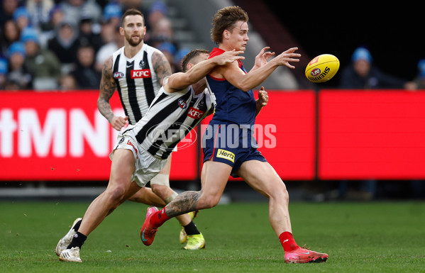 AFL 2025 Round 13 - Melbourne v Collingwood - A-59945752