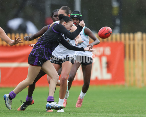 AFL Diversity Talent Program Girls 2025 - Indigenous Academy v Multicultural Academy - A-59950004