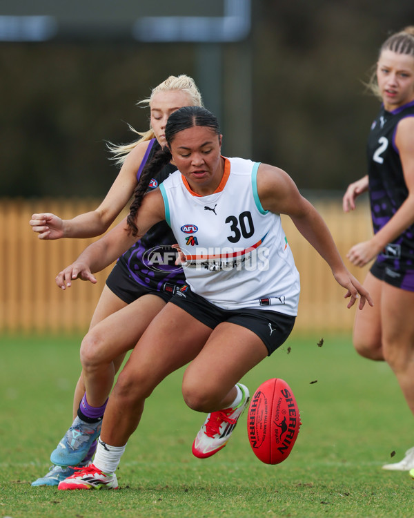 AFL Diversity Talent Program Girls 2025 - Indigenous Academy v Multicultural Academy - A-59956300