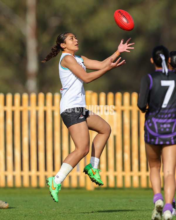 AFL Diversity Talent Program Girls 2025 - Indigenous Academy v Multicultural Academy - A-59956372