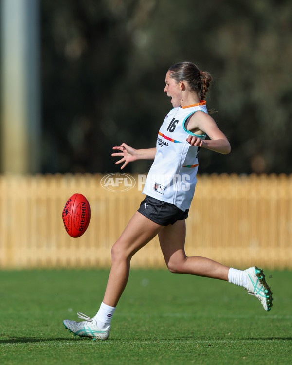 AFL Diversity Talent Program Girls 2025 - Indigenous Academy v Multicultural Academy - A-59956373