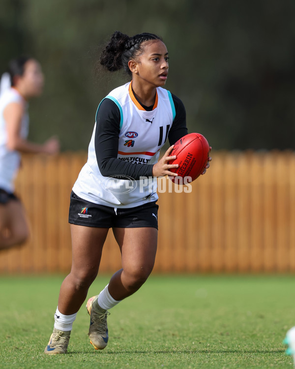 AFL Diversity Talent Program Girls 2025 - Indigenous Academy v Multicultural Academy - A-59958790