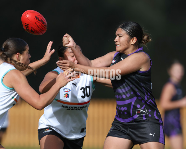 AFL Diversity Talent Program Girls 2025 - Indigenous Academy v Multicultural Academy - A-59958793