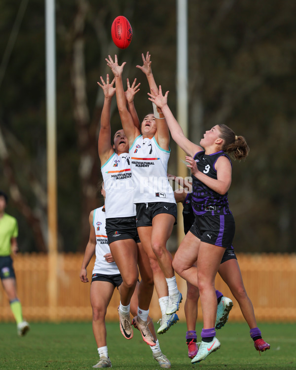 AFL Diversity Talent Program Girls 2025 - Indigenous Academy v Multicultural Academy - A-59958795