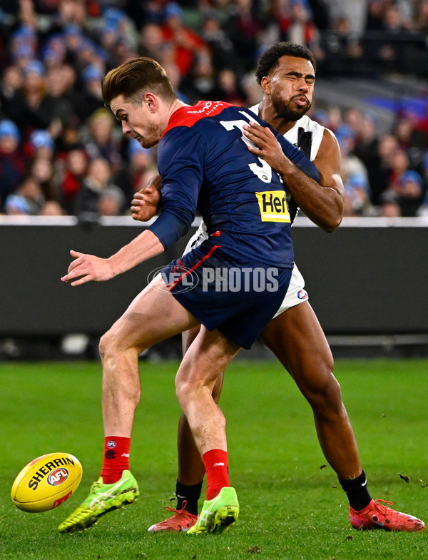 AFL 2025 Round 13 - Melbourne v Collingwood - A-59965178