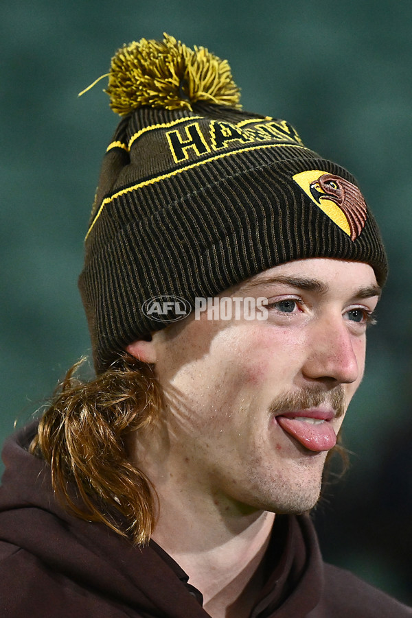 AFL 2025 Round 14 - Hawthorn v Adelaide - A-60006179