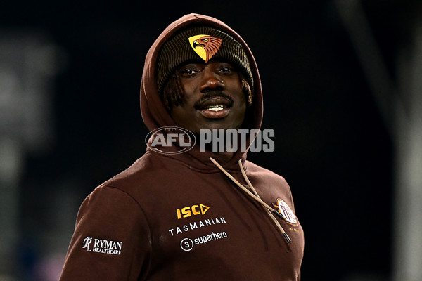 AFL 2025 Round 14 - Hawthorn v Adelaide - A-60006183