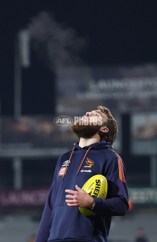 AFL 2025 Round 14 - Hawthorn v Adelaide - A-60006188