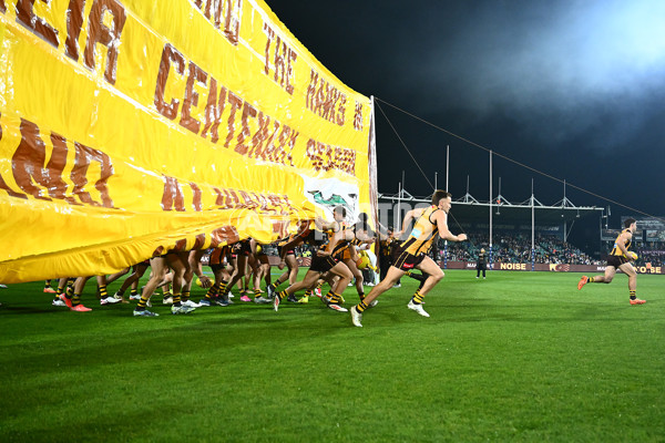 AFL 2025 Round 14 - Hawthorn v Adelaide - A-60006216