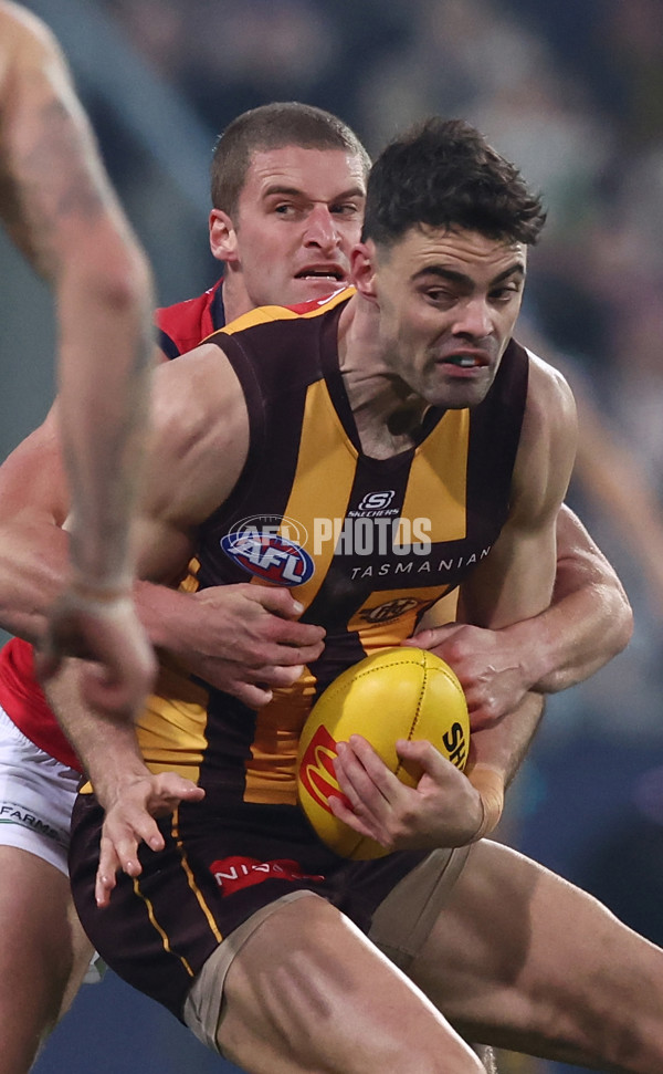 AFL 2025 Round 14 - Hawthorn v Adelaide - A-60007085