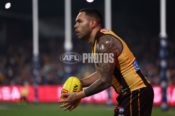 AFL 2025 Round 14 - Hawthorn v Adelaide - A-60007095