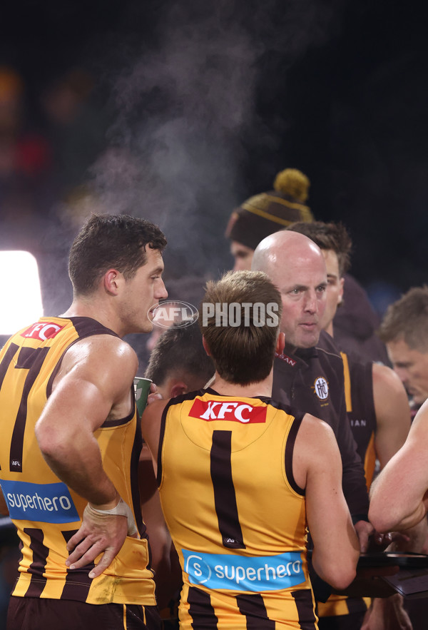 AFL 2025 Round 14 - Hawthorn v Adelaide - A-60007122