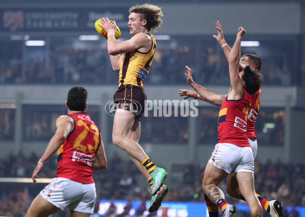 AFL 2025 Round 14 - Hawthorn v Adelaide - A-60007126
