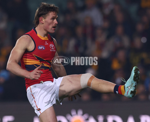 AFL 2025 Round 14 - Hawthorn v Adelaide - A-60008544