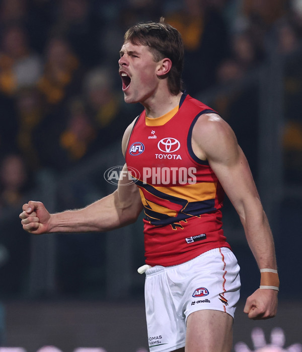 AFL 2025 Round 14 - Hawthorn v Adelaide - A-60008545