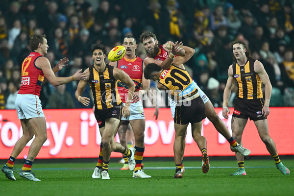 AFL 2025 Round 14 - Hawthorn v Adelaide - A-60008558