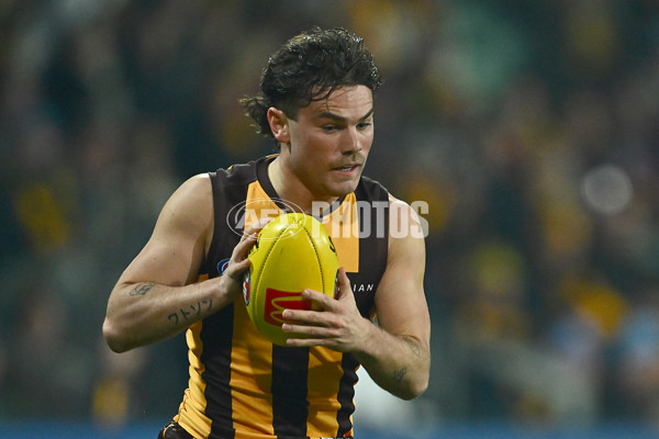 AFL 2025 Round 14 - Hawthorn v Adelaide - A-60008559