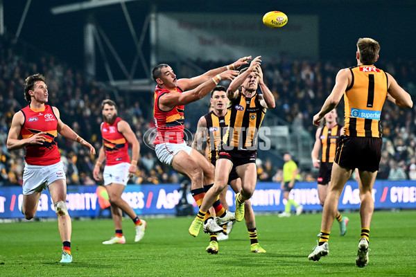 AFL 2025 Round 14 - Hawthorn v Adelaide - A-60008573