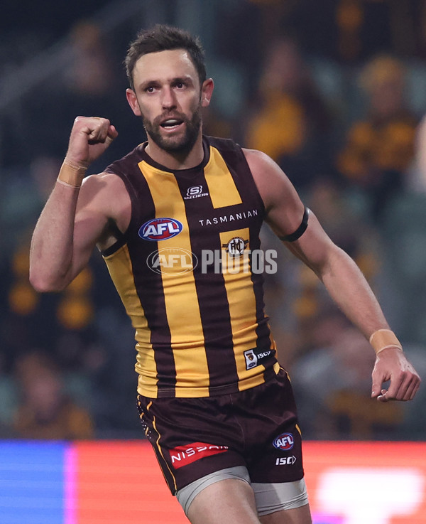 AFL 2025 Round 14 - Hawthorn v Adelaide - A-60008586
