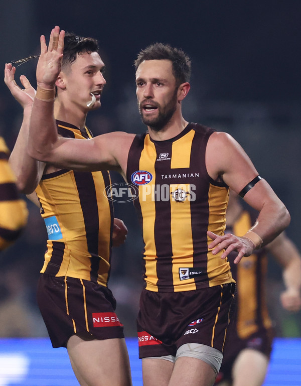 AFL 2025 Round 14 - Hawthorn v Adelaide - A-60008587