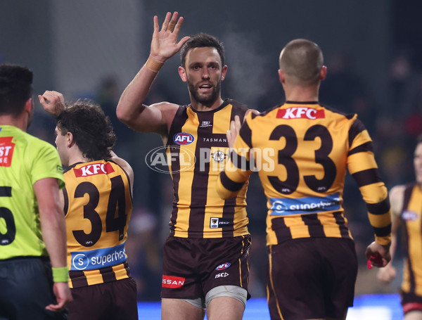 AFL 2025 Round 14 - Hawthorn v Adelaide - A-60008588