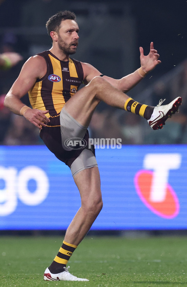 AFL 2025 Round 14 - Hawthorn v Adelaide - A-60008589